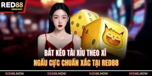 Bắt Kèo Tài Xỉu Theo Xí Ngầu Cực Chuẩn Xác Tại Red88