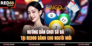 Hướng Dẫn Chơi Số Đá Tại Red88 Dành Cho Người Mới