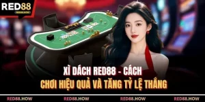 Xì Dách Red88 – Cách Chơi Hiệu Quả Và Tăng Tỷ Lệ Thắng